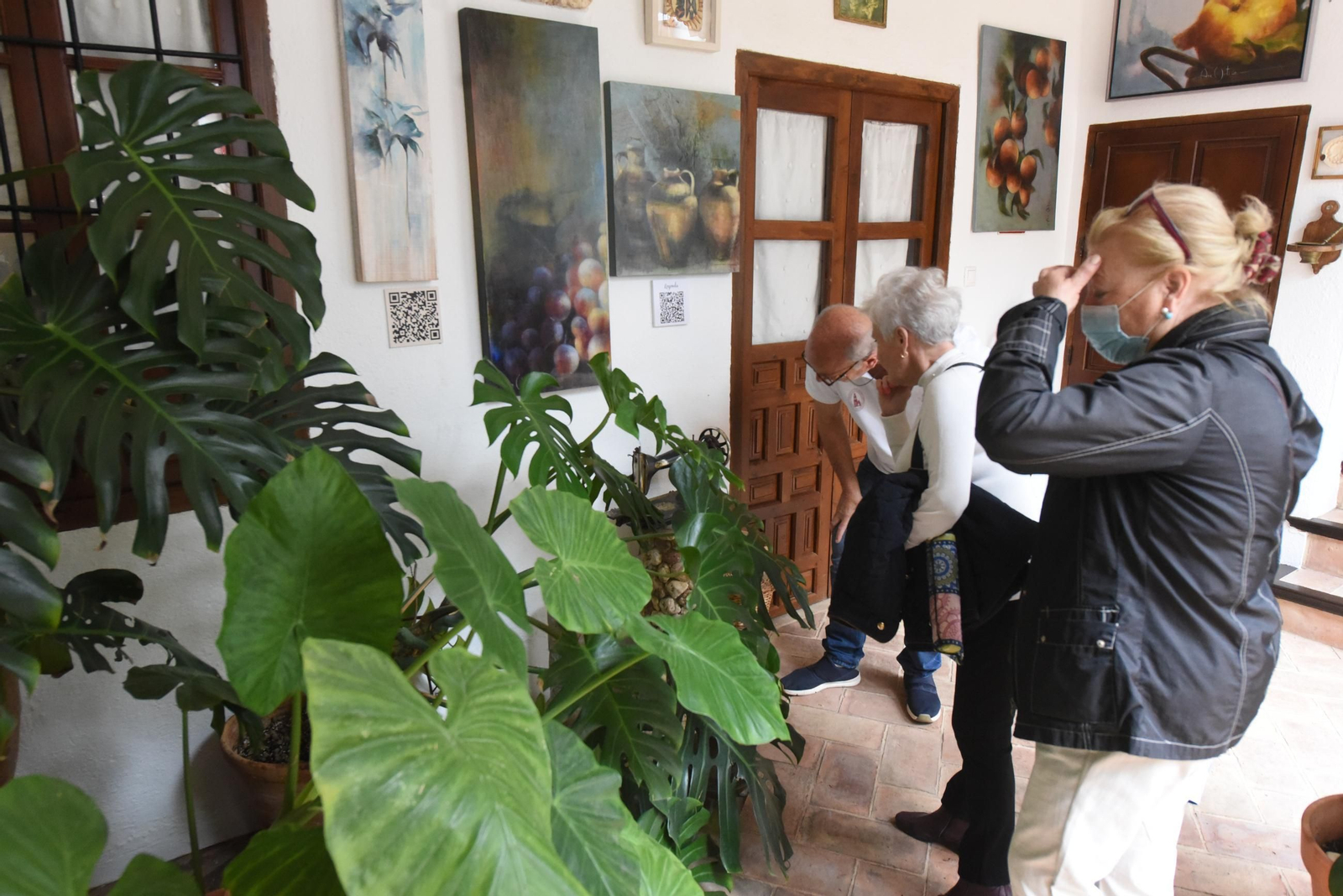 Una ruta en imágenes por los patios de la Judería y San Francisco