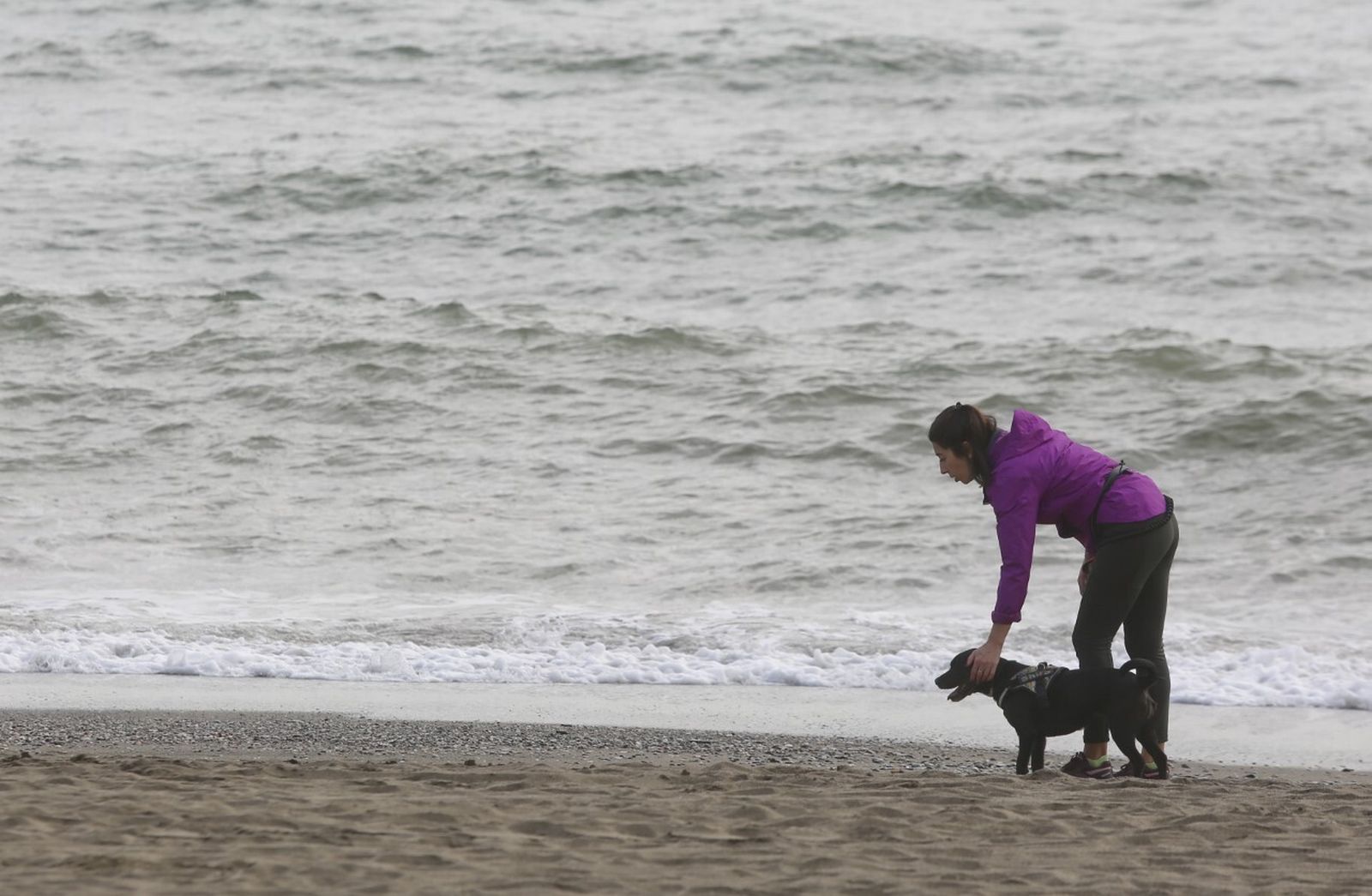 Una mujer con su perro en la playa.