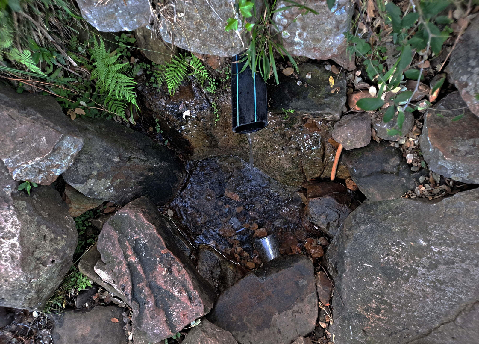 Fotos del sendero del Chorro de Pelayo en Algeciras