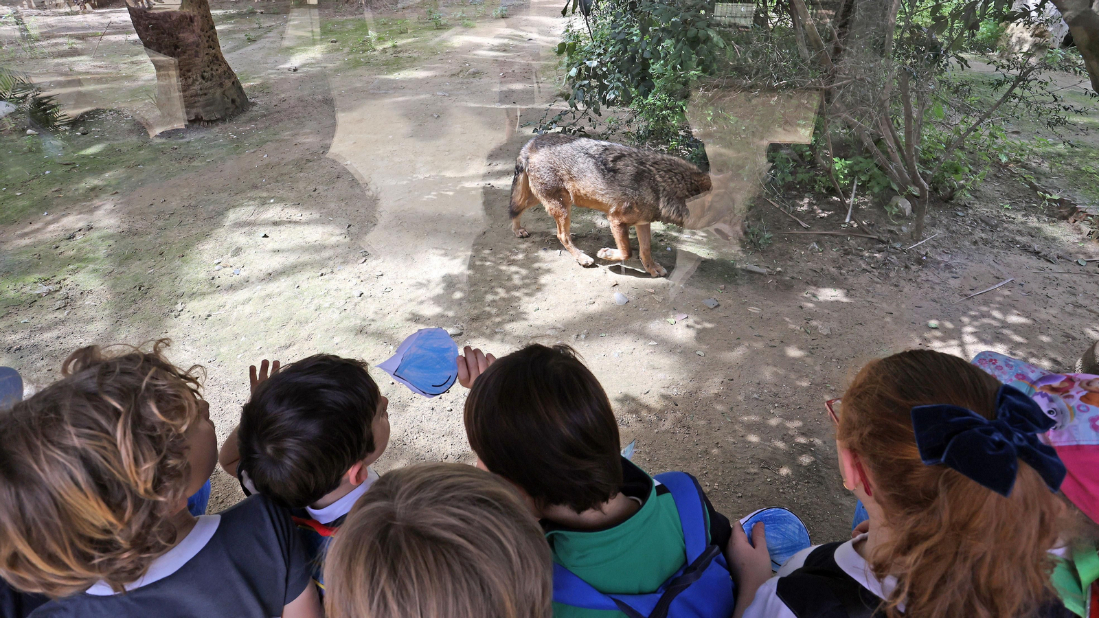 Día Mundial del Agua de Aquajerez y aniversario de Diario de Jerez en el Zoo