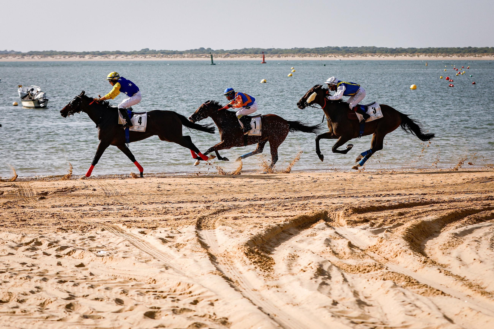 Imágenes de la segunda jornada del ciclo inicial de las Carreras de Caballos de Sanlúcar 2025