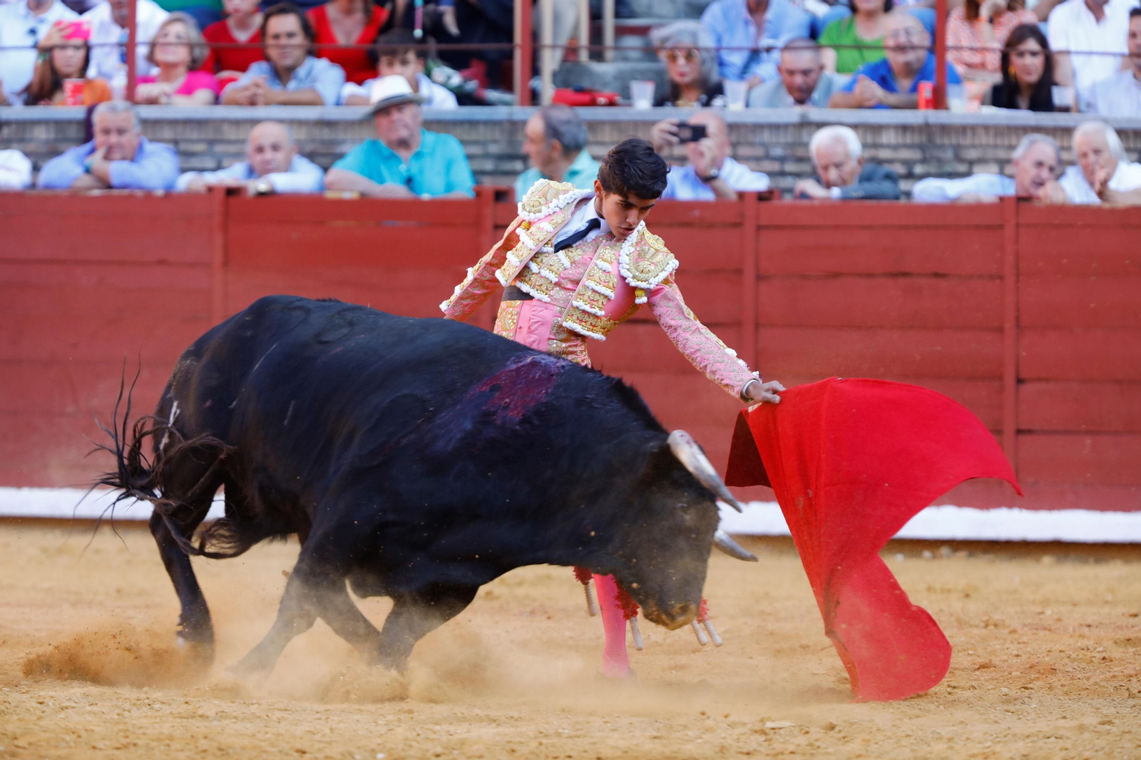 La presentación del novillero Manuel Román en Córdoba, en imágenes