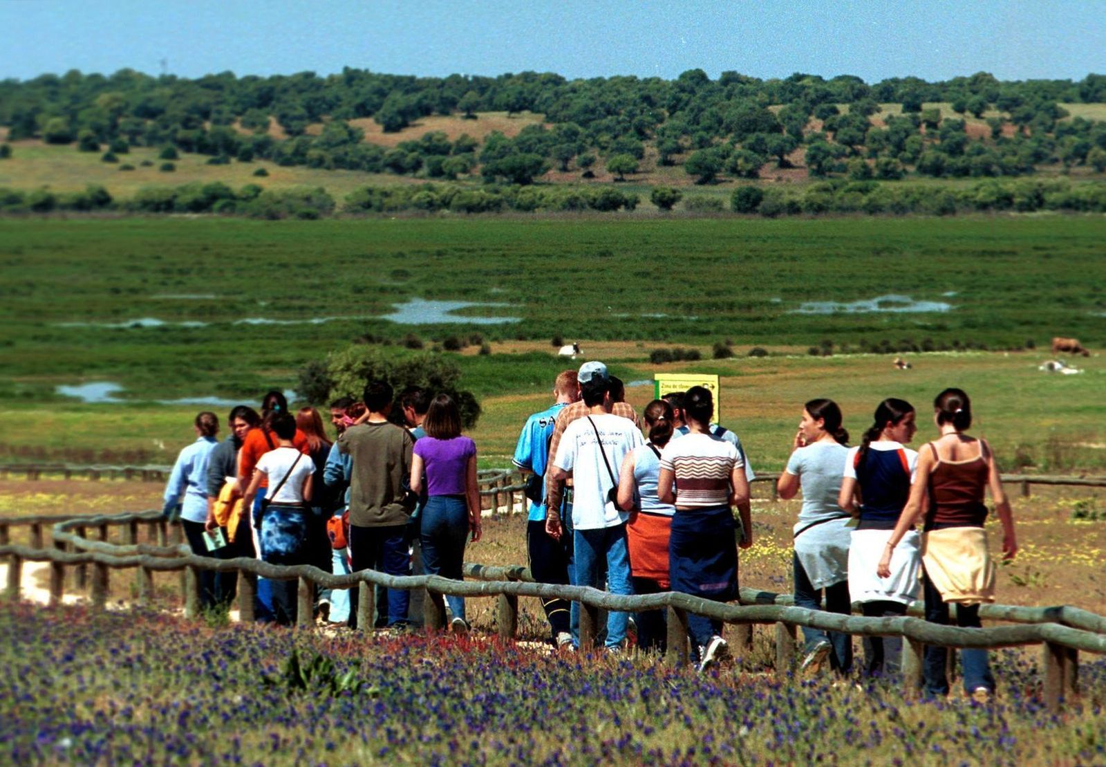 Turistas paseando por la laguna de la Reserva Natural de la Dehesa de Abajo, en La Puebla del Río.