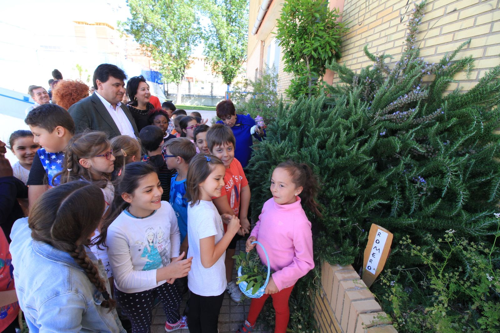 Imágenes de la plantación de árboles llevada a cabo en el colegio Los Rosales, con motivo del incendio del año pasado