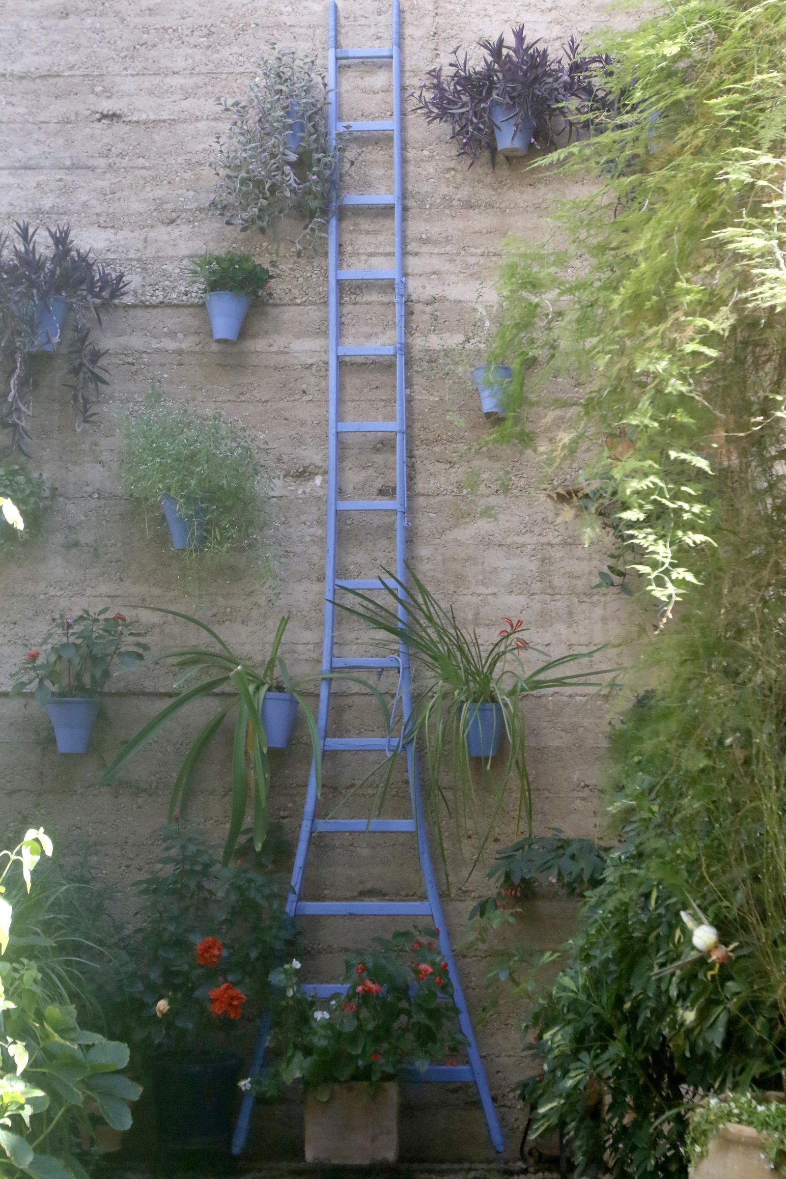 Los Patios en otoño, en fotografías