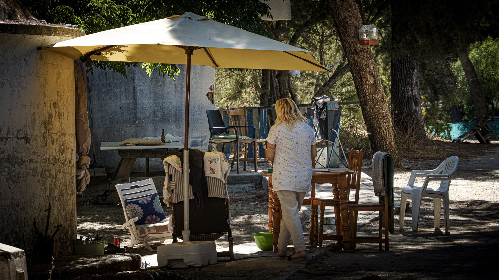 Las imágenes actuales del estado de abandono del antiguo campamento La Forestal en Rota