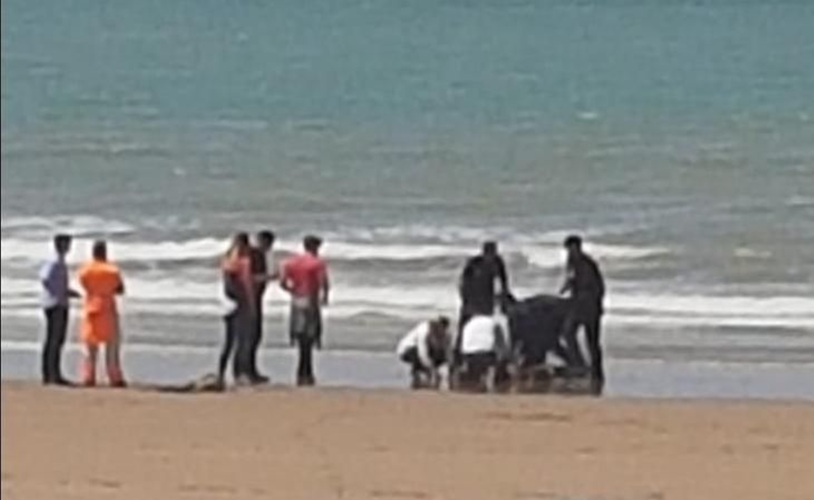 Personal médico intenta reanimar al menor, ya caído sobre la orilla de la playa portuense de Valdelagranada.