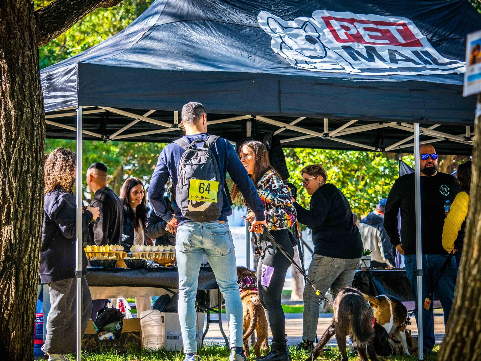 Las imágenes de San Antón 2025 en San Fernando