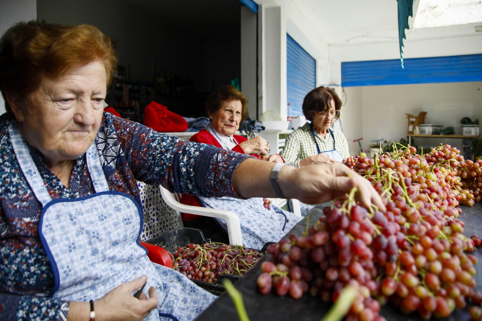 La tradicional faena de la uva de Canjayar, en imágenes