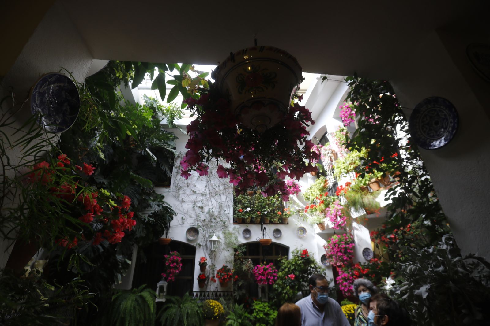 Las fotografías del primer día de apertura de los Patios de Córdoba en otoño