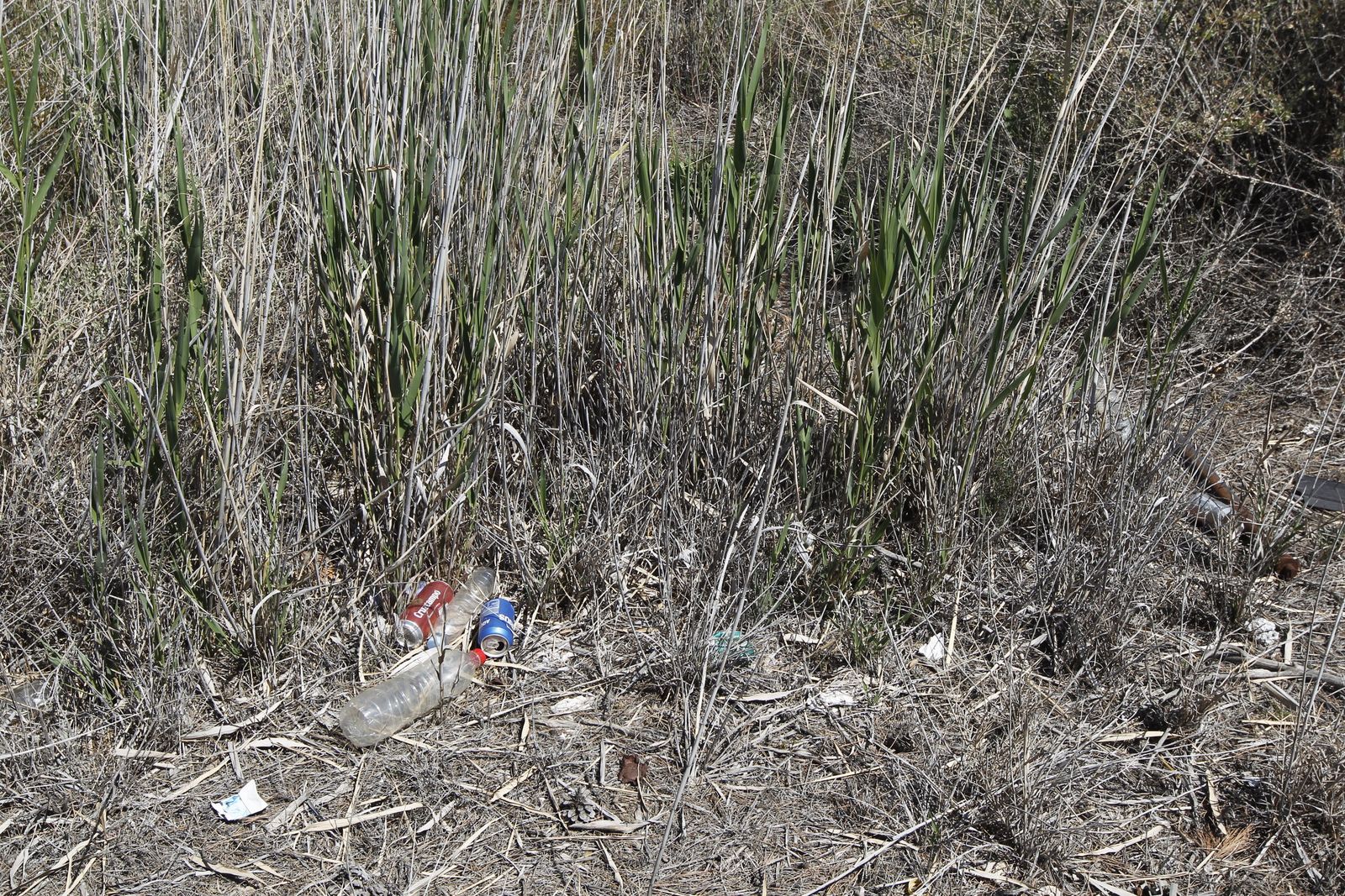 Fotogalería basura en el Desierto de Tabernas