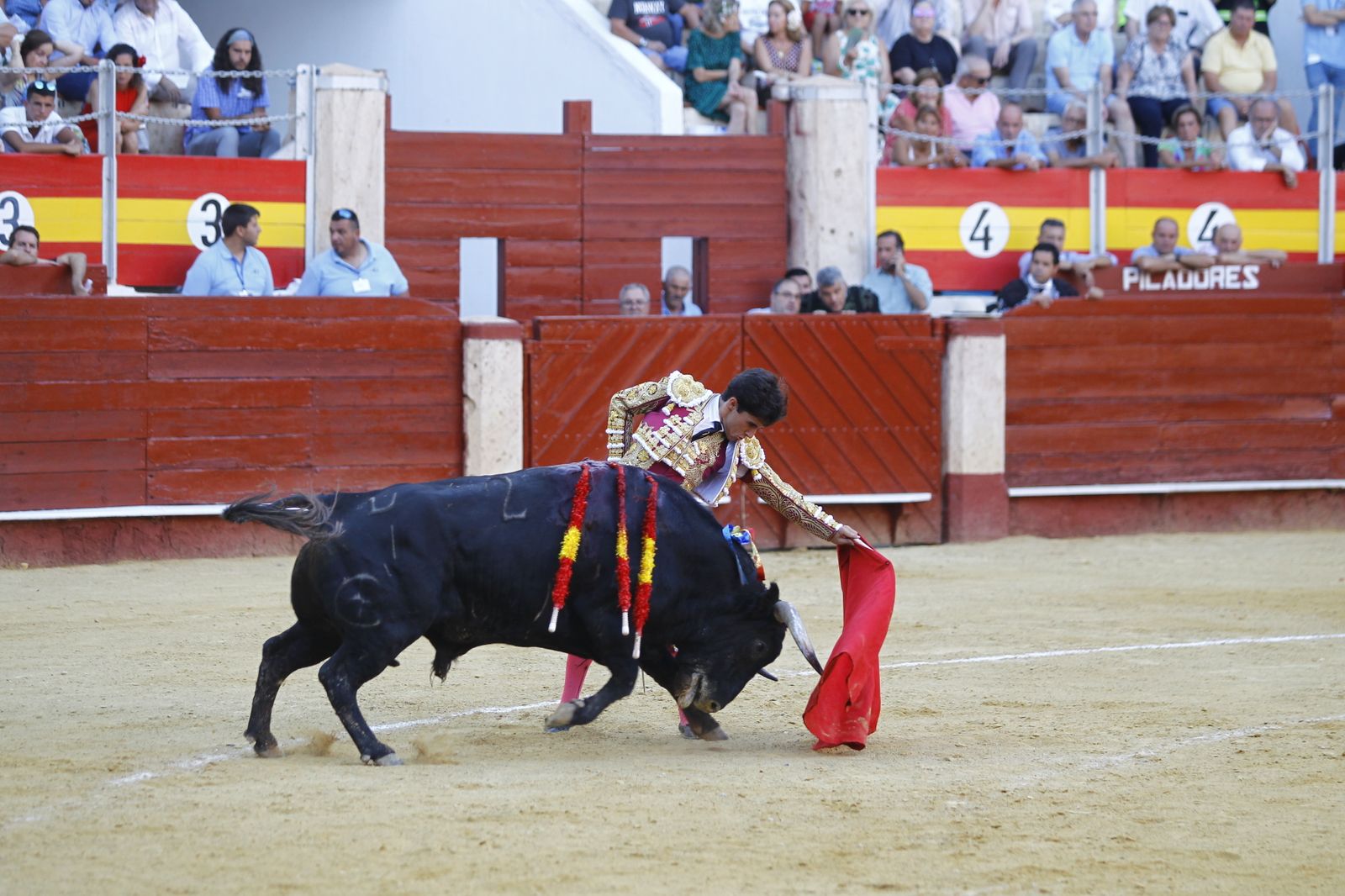 Fotogalería de la novillada de la Feria Taurina de Almería 2022