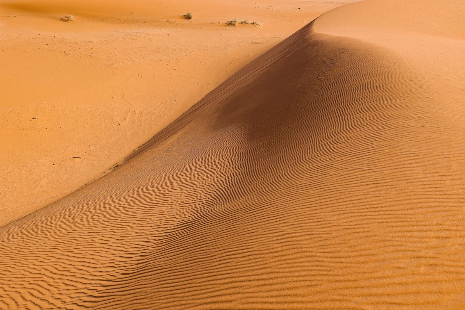 Las mejores fotos de la etapa del Rally Dakar