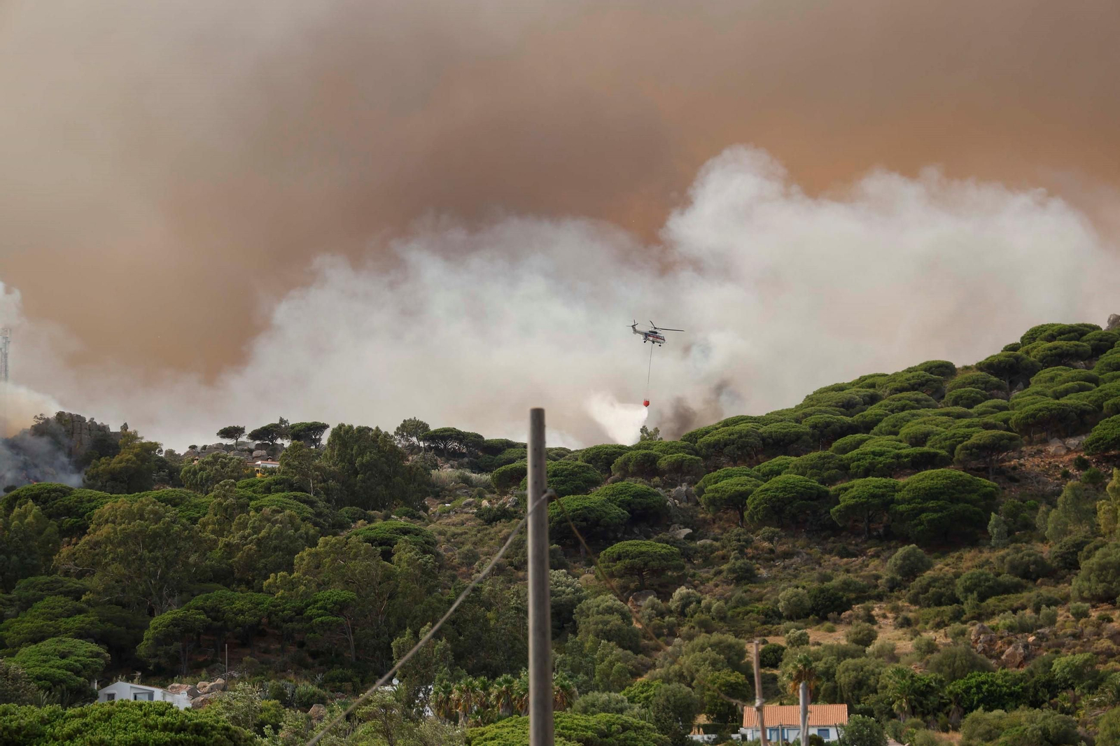 Las imágenes del incendio de Tarifa: más de un centenar de efectivos para controlar las llamas