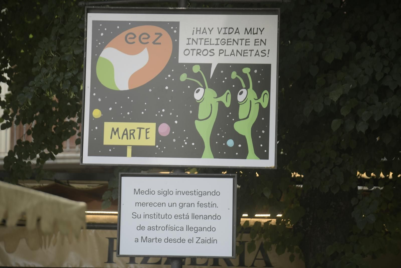 Estas son las carocas del Corpus de Granada 2025