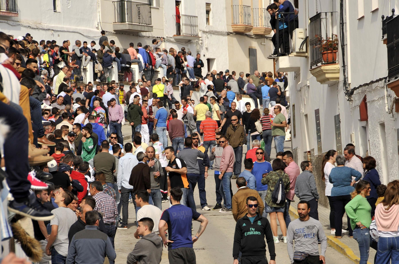 Imágenes del Toro del Aleluya en Arcos