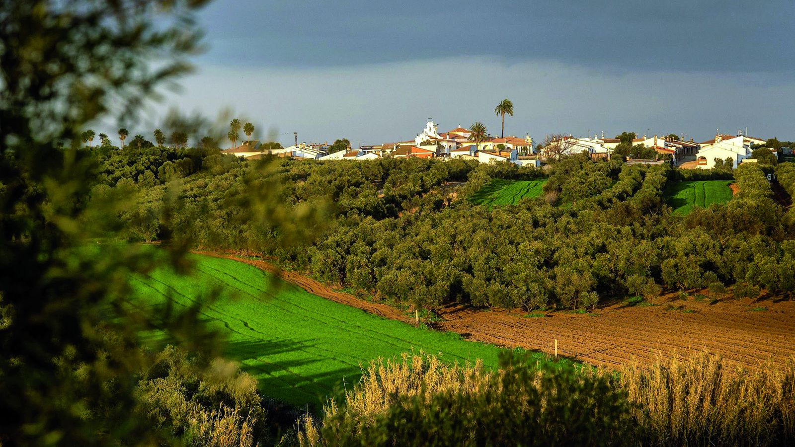 El nuevo sendero de Beas.