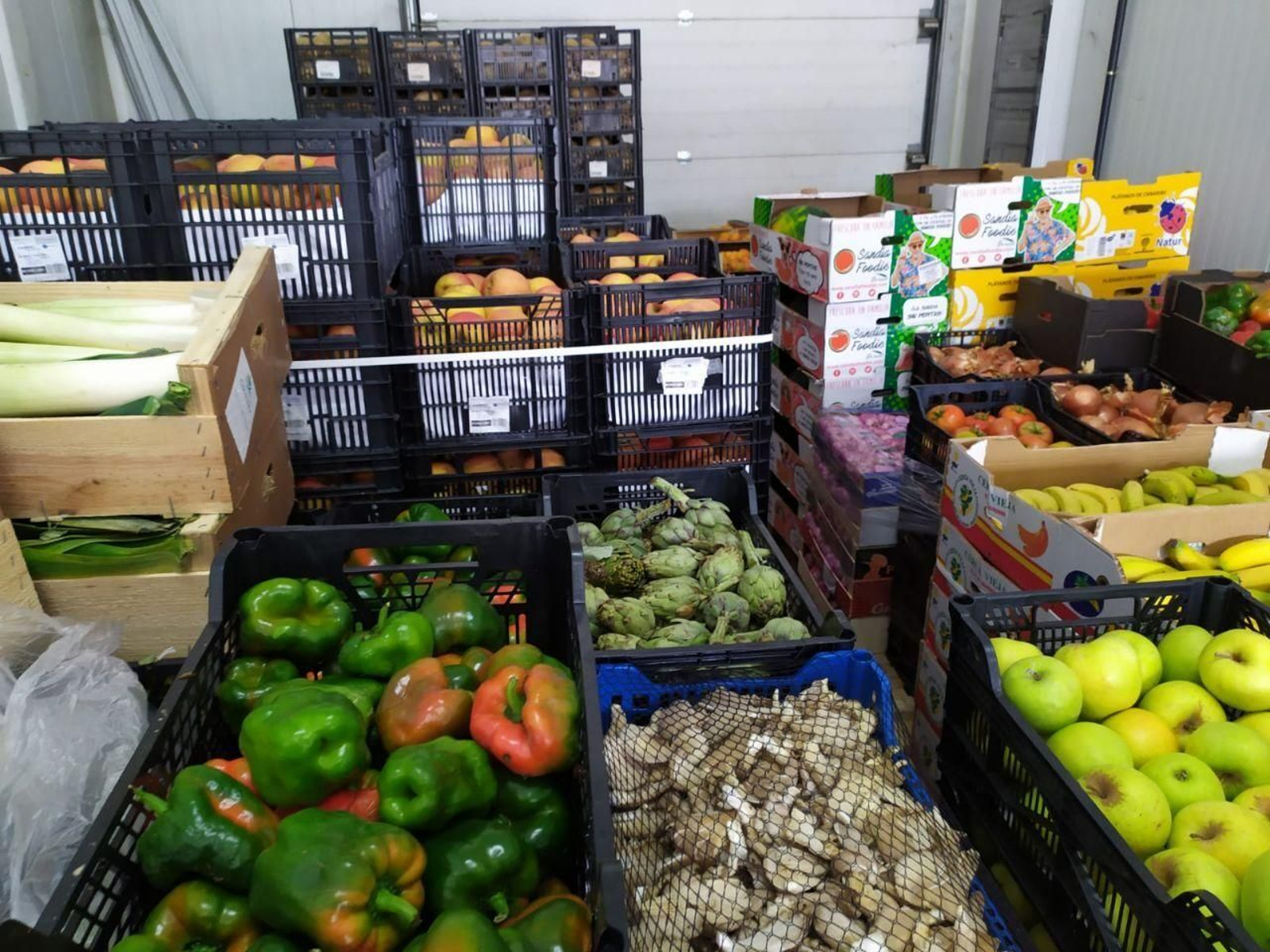 Donación de frutas y hortalizas de Mercacórdoba