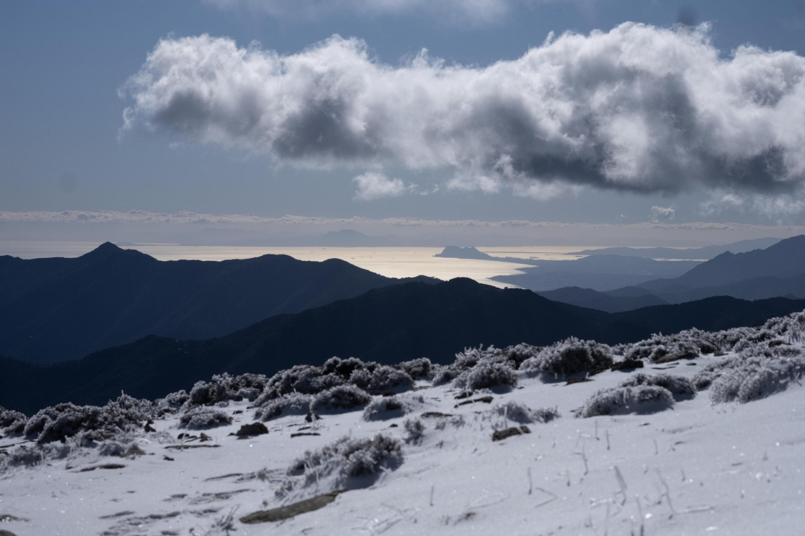 Nevada en la Sierra de las Nieves, en fotos
