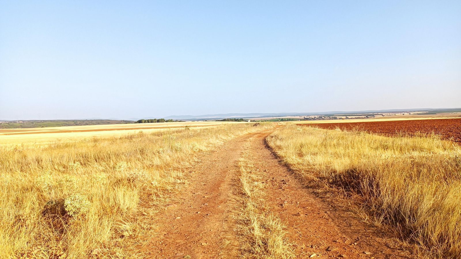 Nos aguardan más caminos agrícolas de rojiza tierra atravesando campos de cultivo.