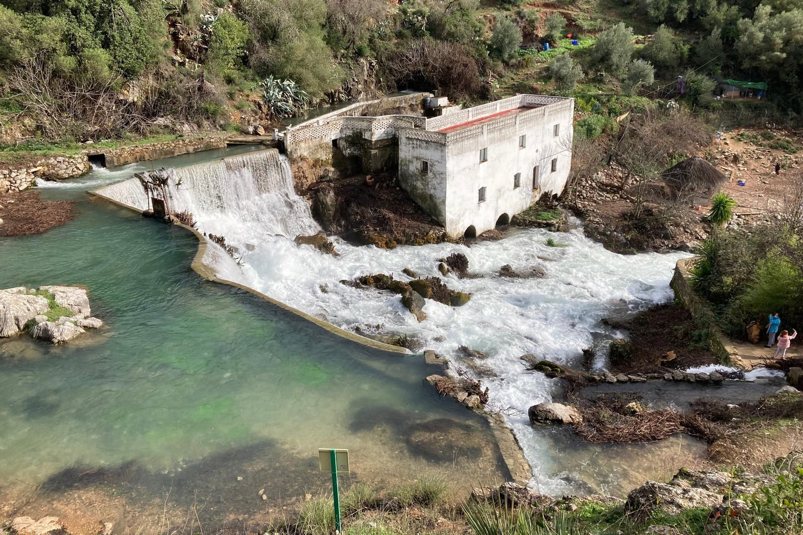 Nacimiento de la estación de Benaoján
