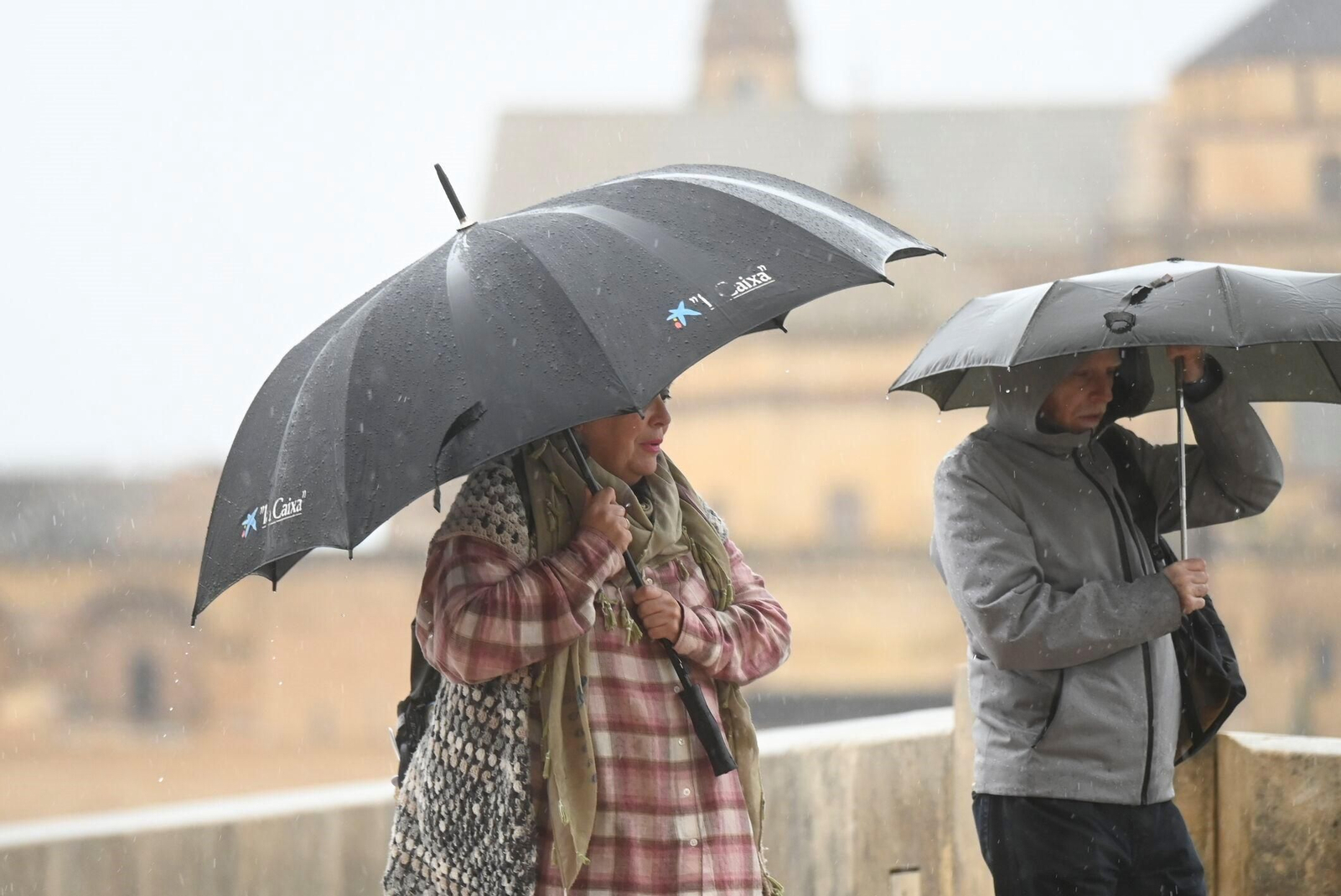 El paso de la borrasca Claudia por Córdoba en imágenes