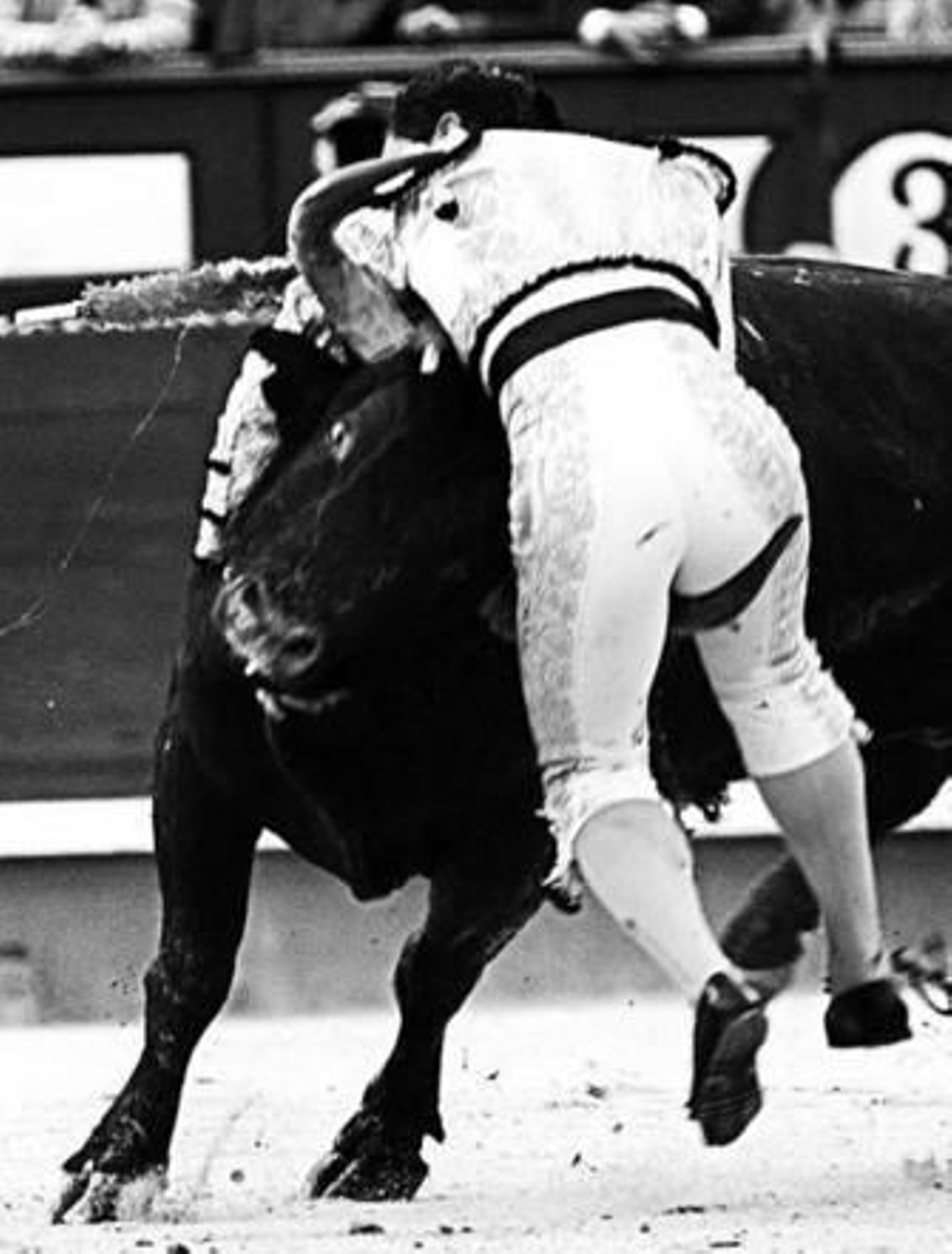 Instante en el que el sexto empitona, sin herir, a Luis Bolívar.