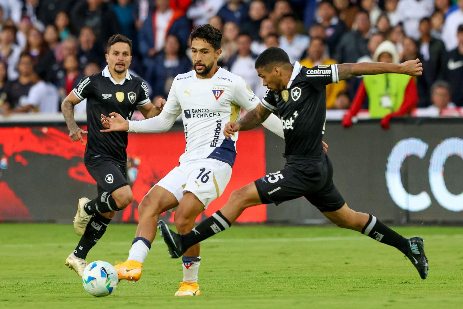 Partido del Botafogo.