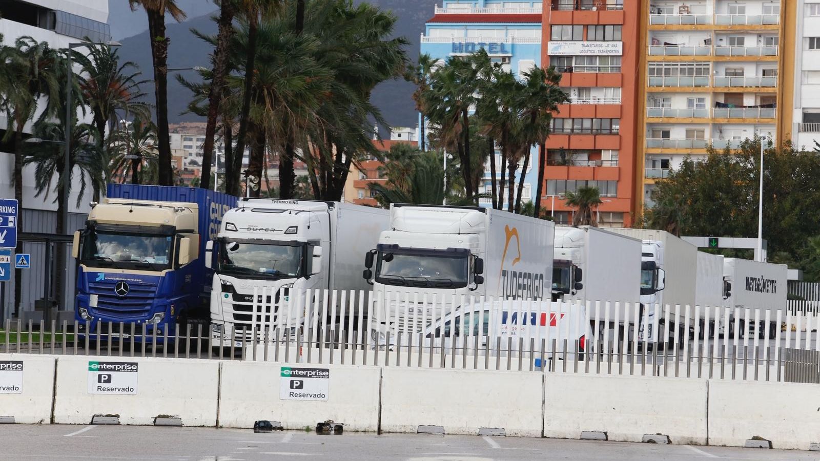 Camiones este viernes en el Puerto de Algeciras.