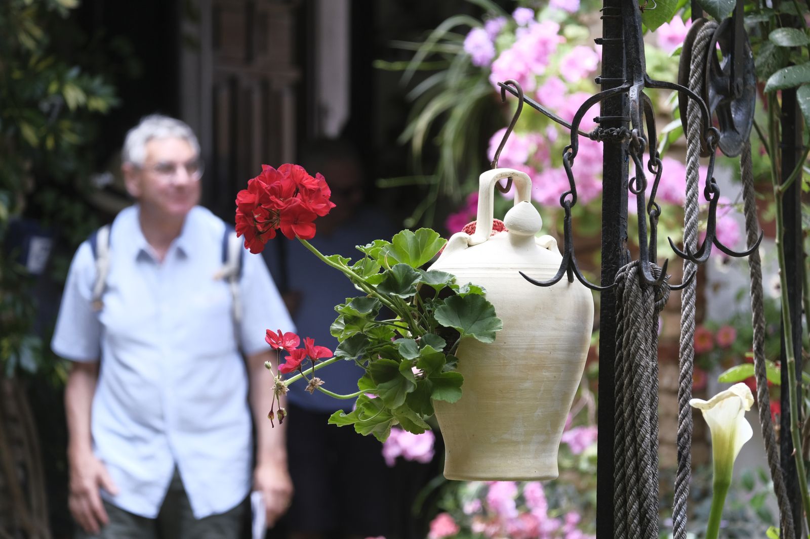 El último día del Festival de los Patios de Córdoba 2022, en imágenes