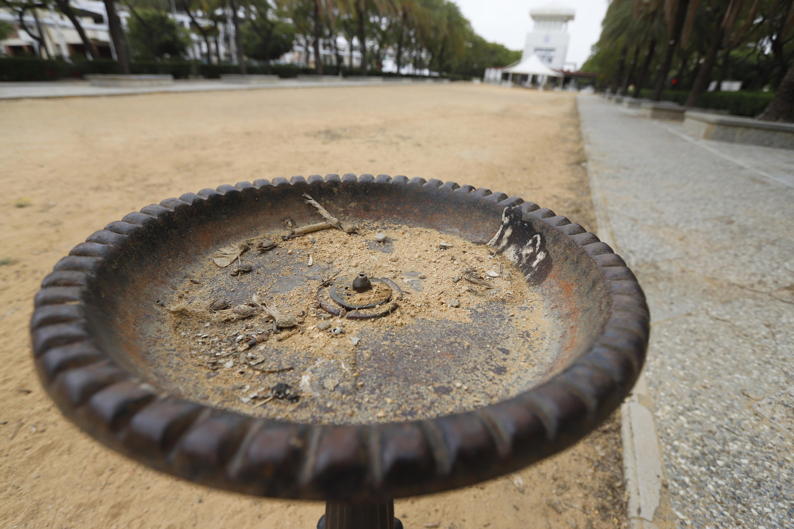 Imágenes del deterioro en la Avenida de Andalucía