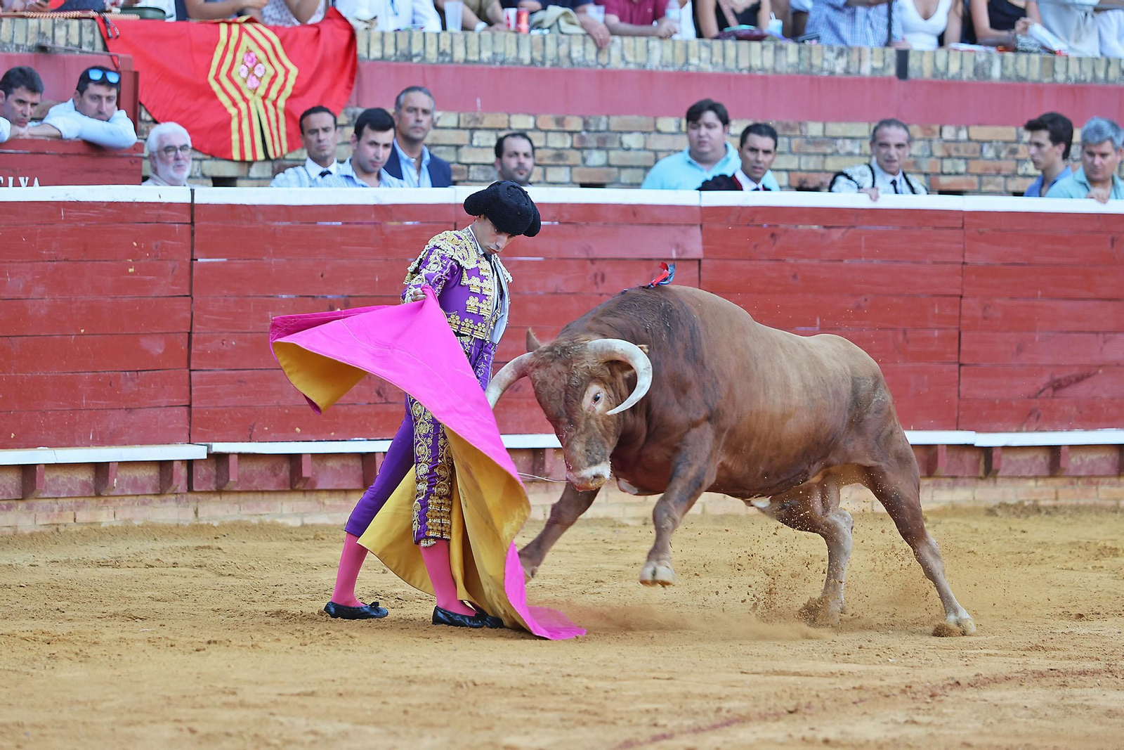Toros La Merced 2024 Novillada con picadores(
