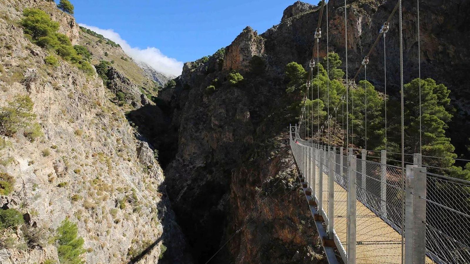 El puente colgante El Saltillo de Canillas de Aceituno. El puente colgante El Saltillo de Canillas de Aceituno.