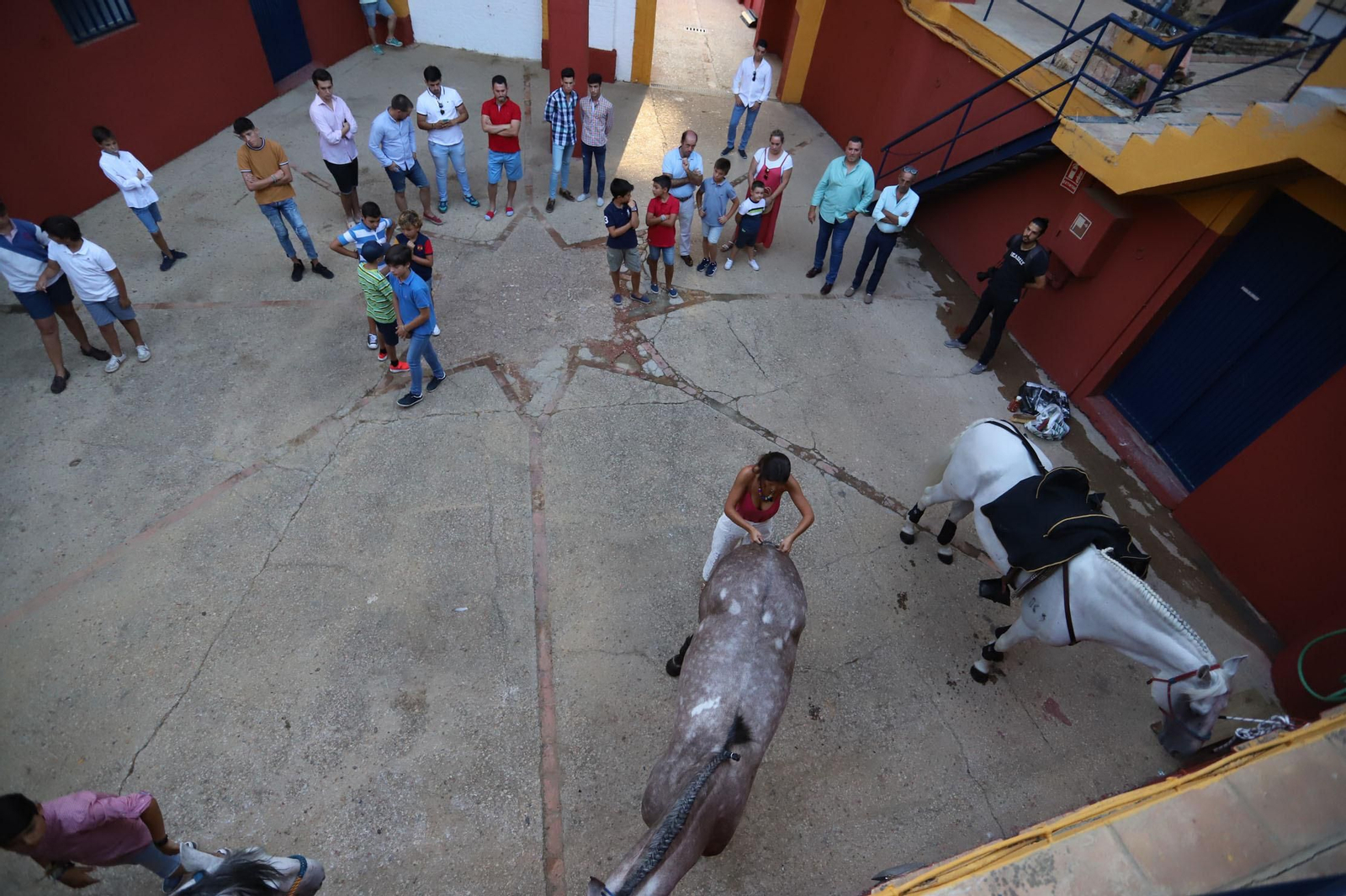 Imágenes de la clase de rejoneo de Andrés Romero en la Plaza de Toros