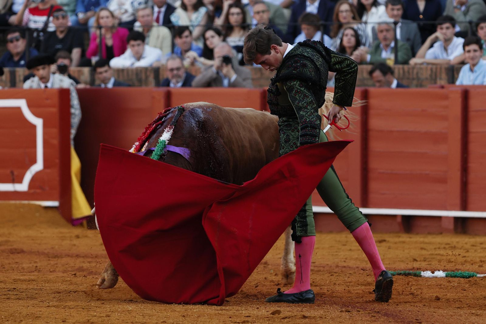 Las imágenes de la Novillada