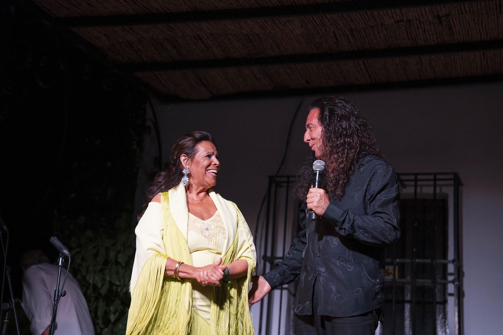 Las mejores imágenes del Festival de Flamenco en Fondón