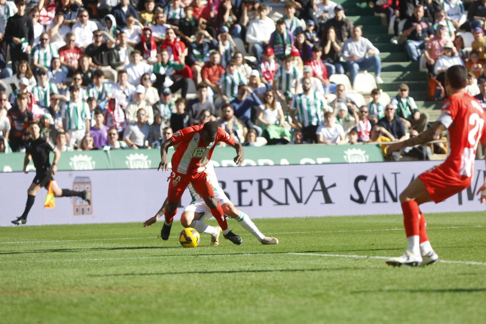 Las mejores fotos del ambiente en el Córdoba CF - Almería en El Arcángel