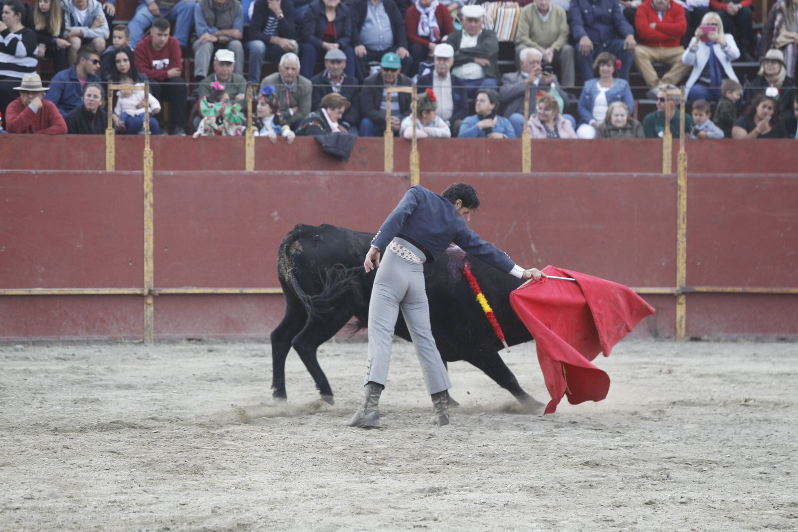 Fotogalería Festival Taurino Mixto. Fiestas de Abrucena.