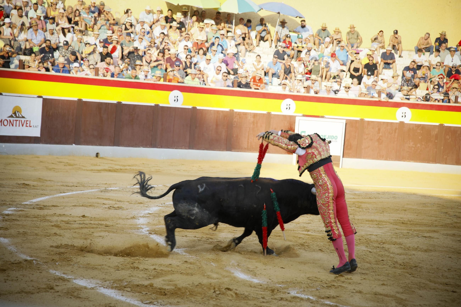 Corrida de toros Berja con un toro indultado, en imágenes