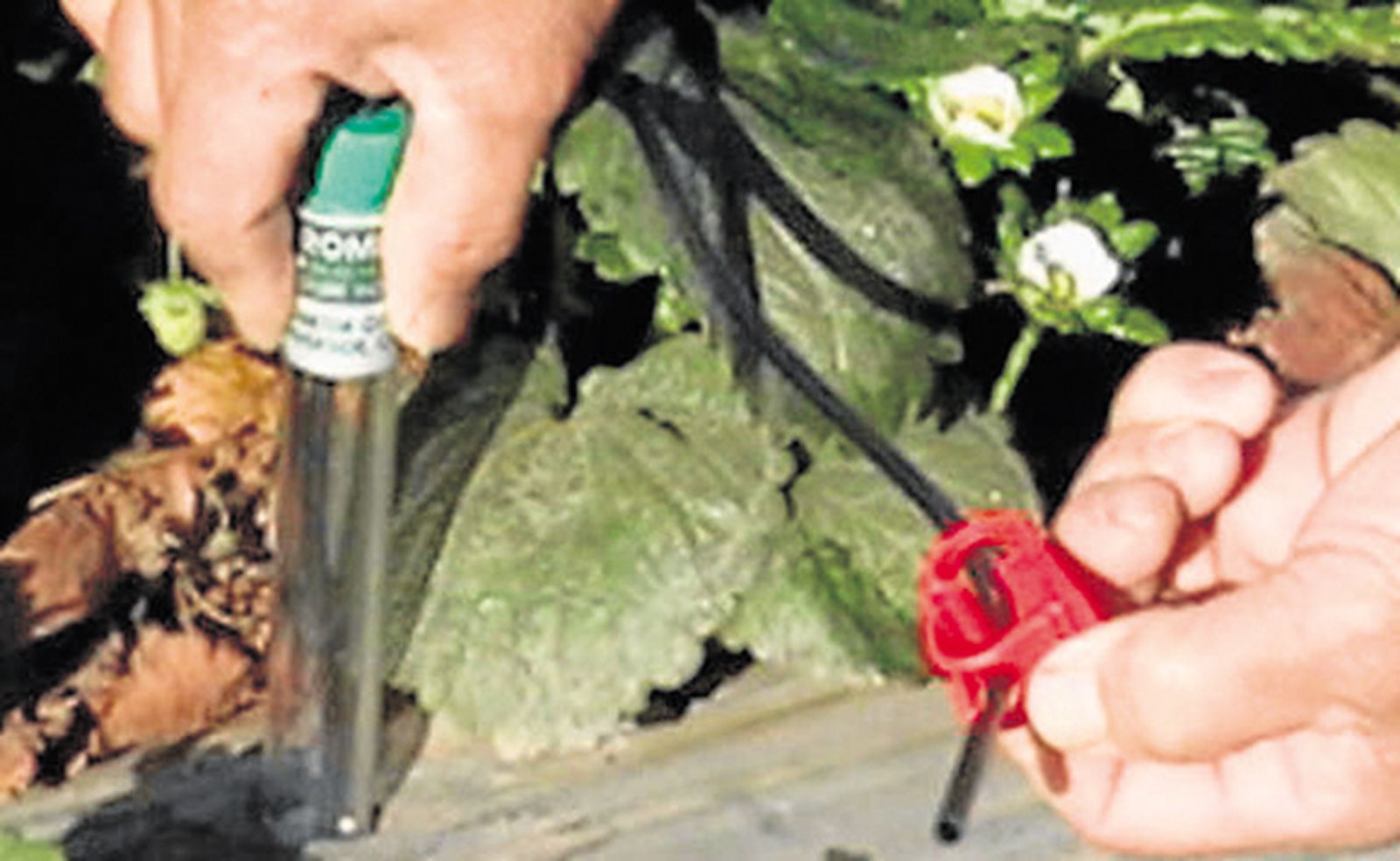 Dicsa, scientific instruments for the field