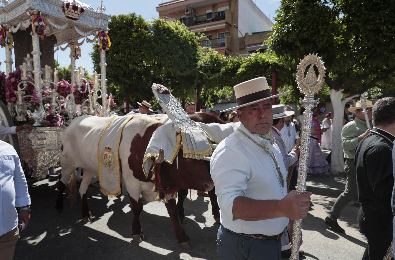 Las imágenes de la Hermandad del Rocío de Coria