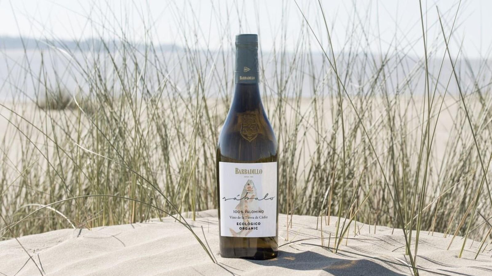 Botella de Sábalo, reconocido con 90 puntos. Botella de Sábalo, reconocido con 90 puntos.