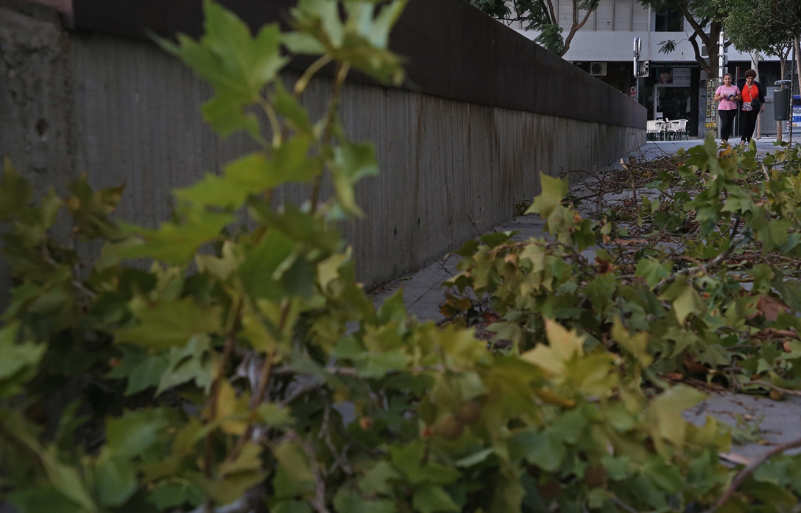 El paso de la borrasca Aline por Algeciras, en imágenes