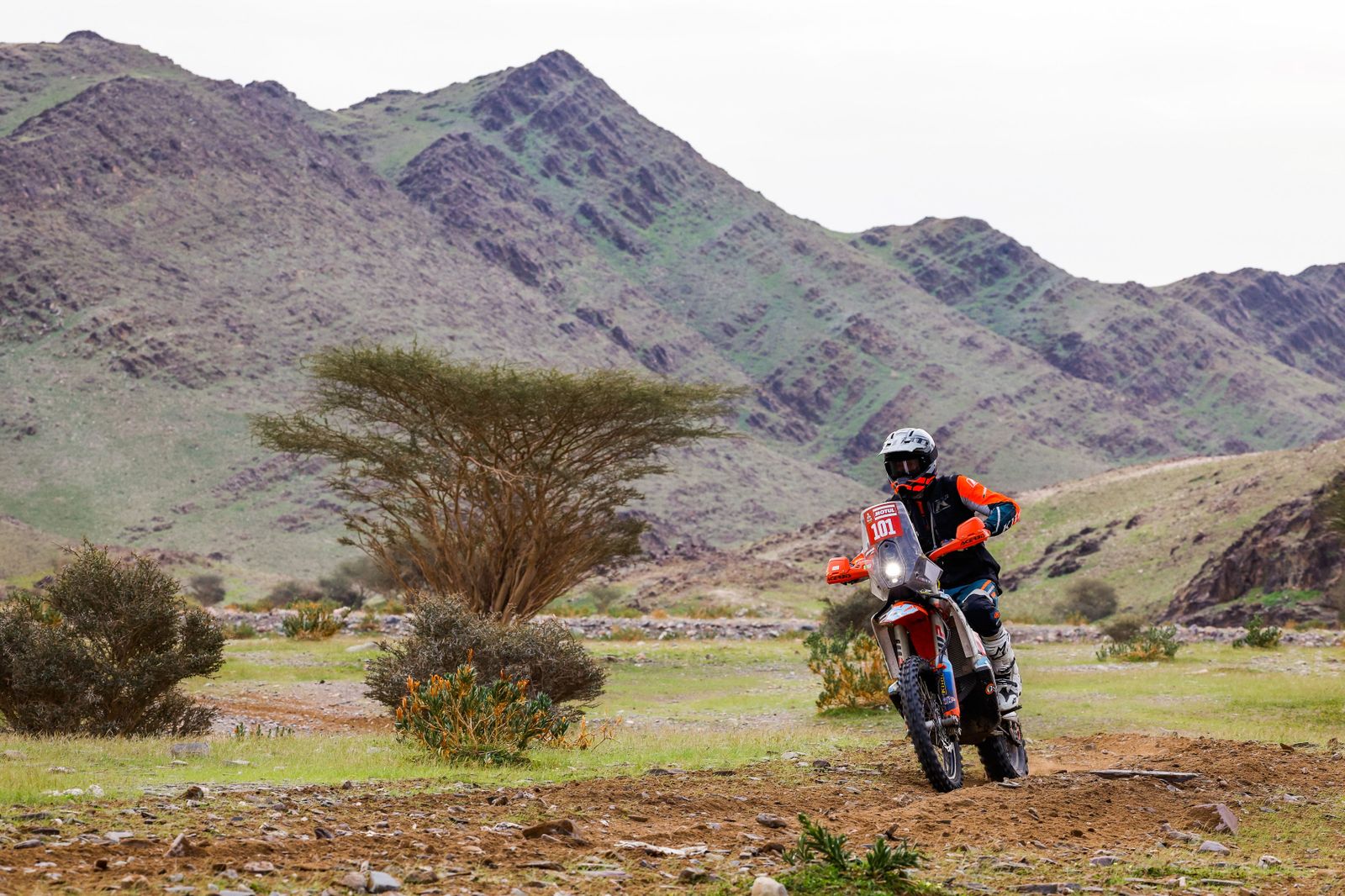 Las fotos del día del Rally Dakar