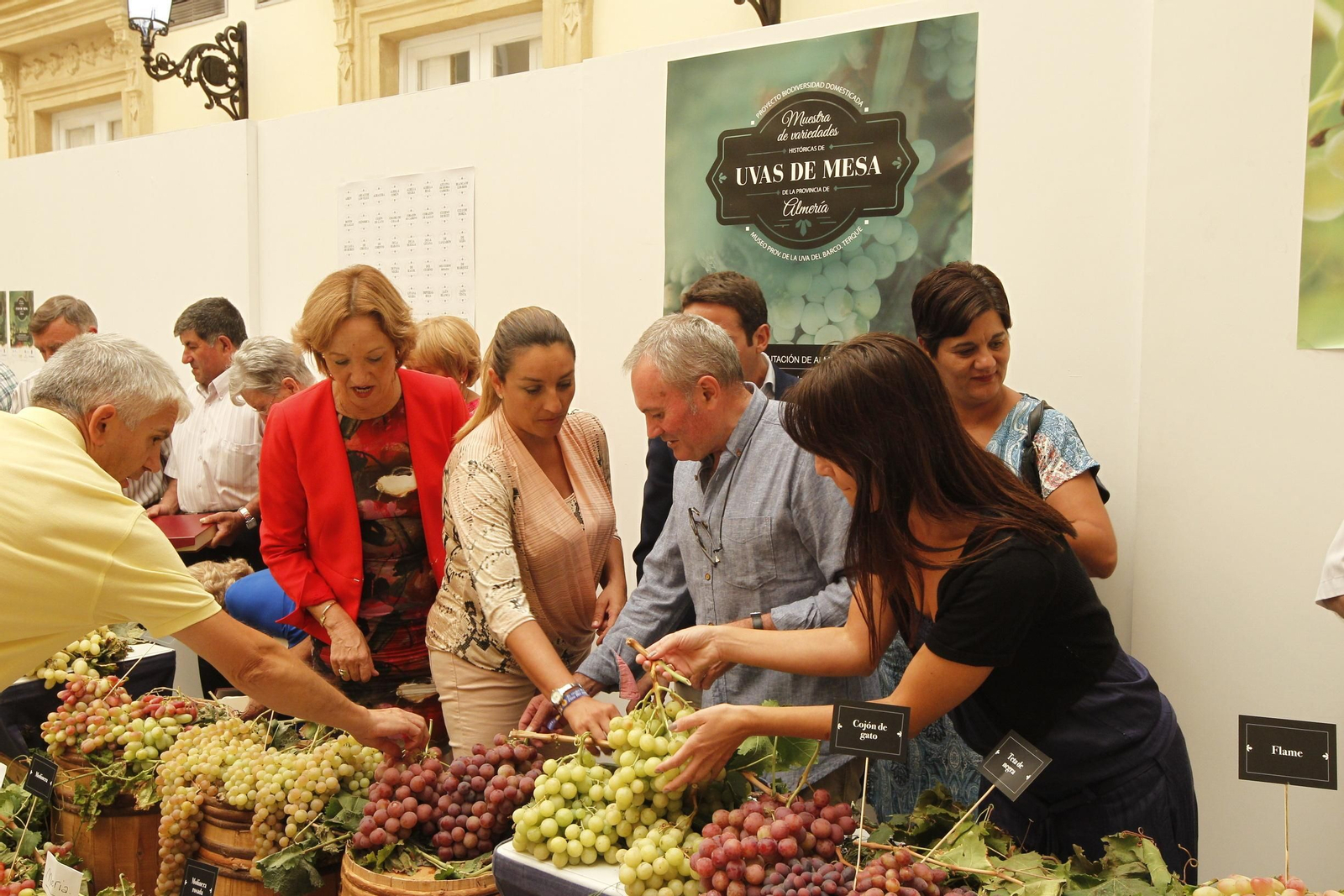 Las imágenes de la XIII Muestra de Variedades Históricas de Uvas de Mesa de la Provincia