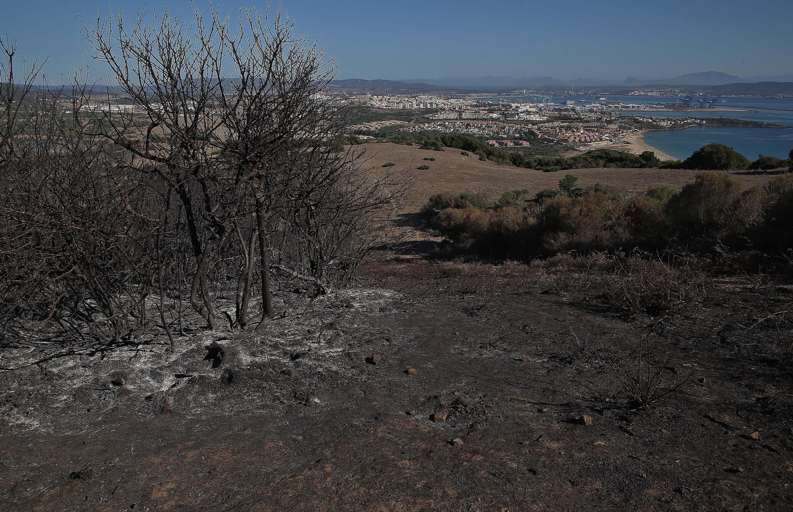 El impacto del incendio forestal de Algeciras, en imágenes