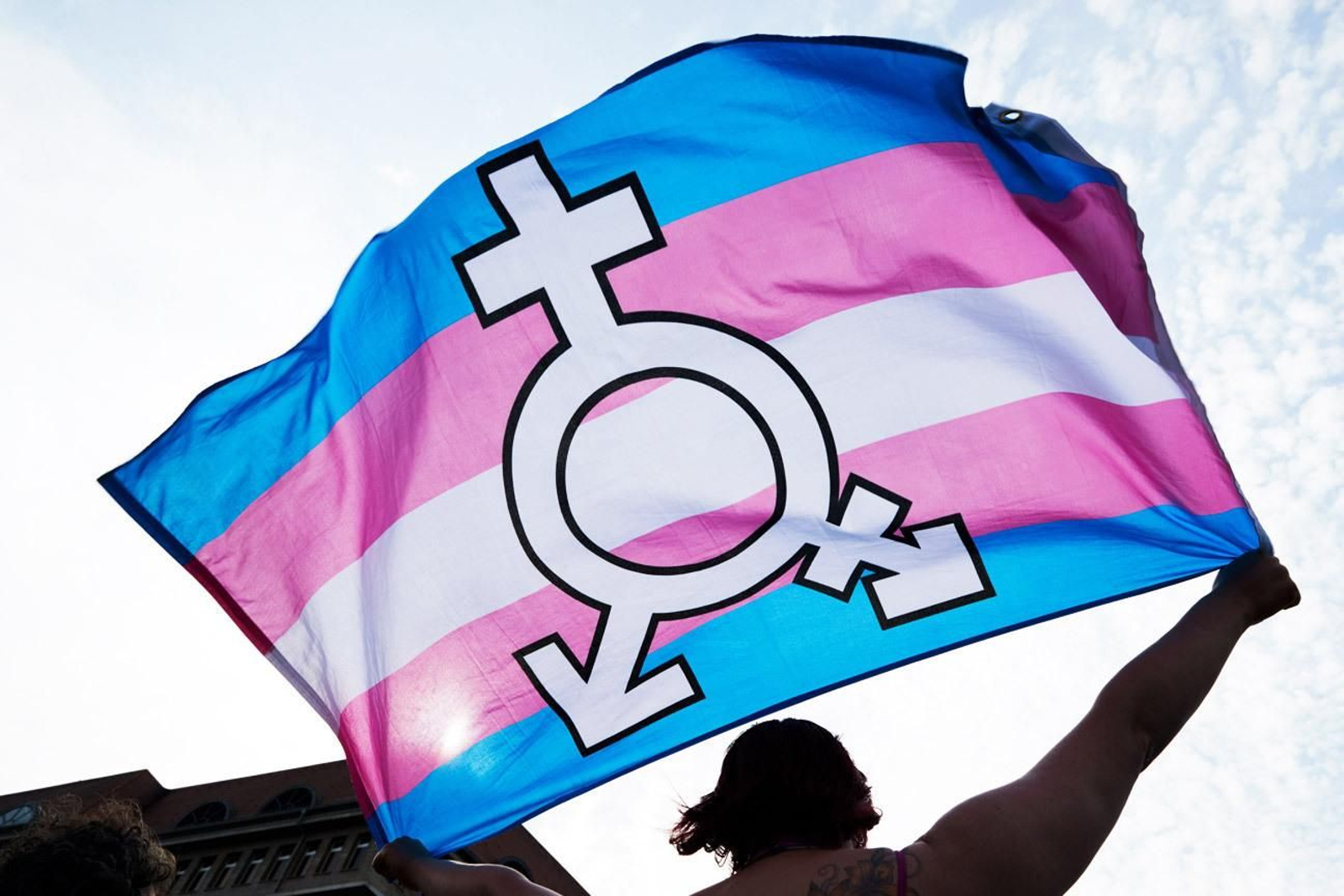 Bandera reivindicativa de los derechos trans Bandera reivindicativa de los derechos trans