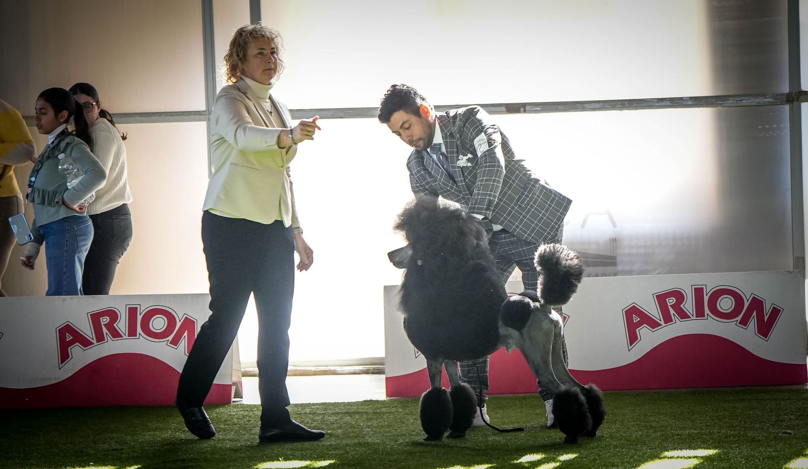 Espectacular exposición canina en Ifeca Jerez, en imágenes