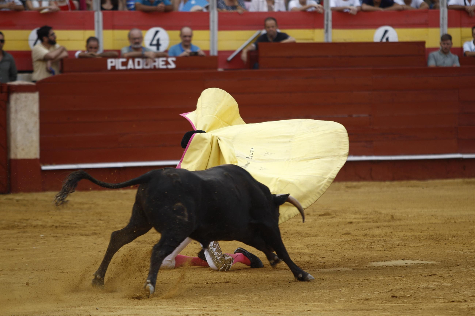 Las mejores imágenes de la clase práctica de la Escuela Municipal Taurina de Almería