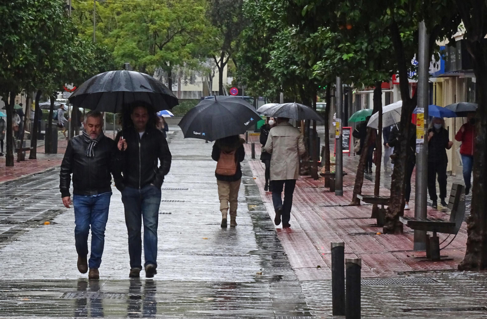 Se esperan lluvias de nuevo en Sevilla Se esperan lluvias de nuevo en Sevilla